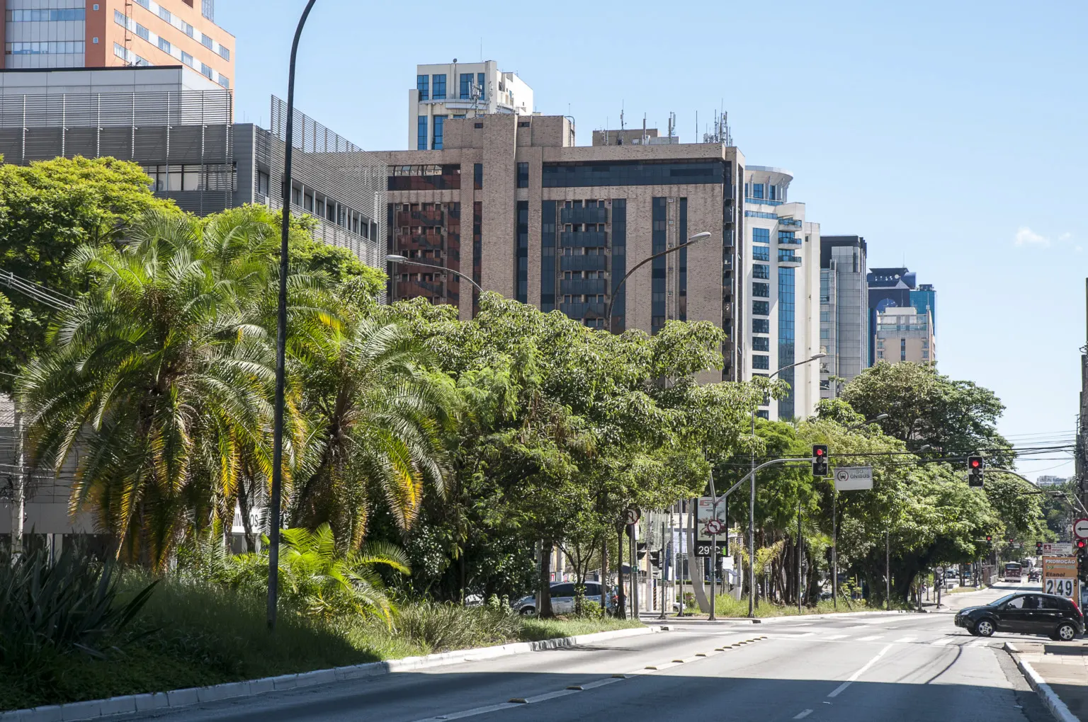 Bairro Moema: como é o bairro com um dos melhores IDH de SP