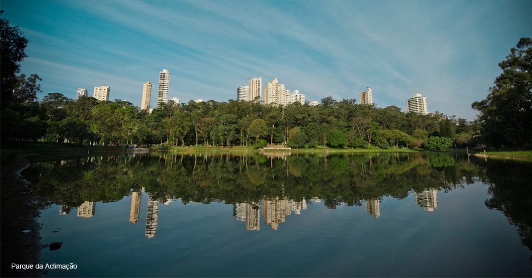 Conheça o bairro da Aclimação