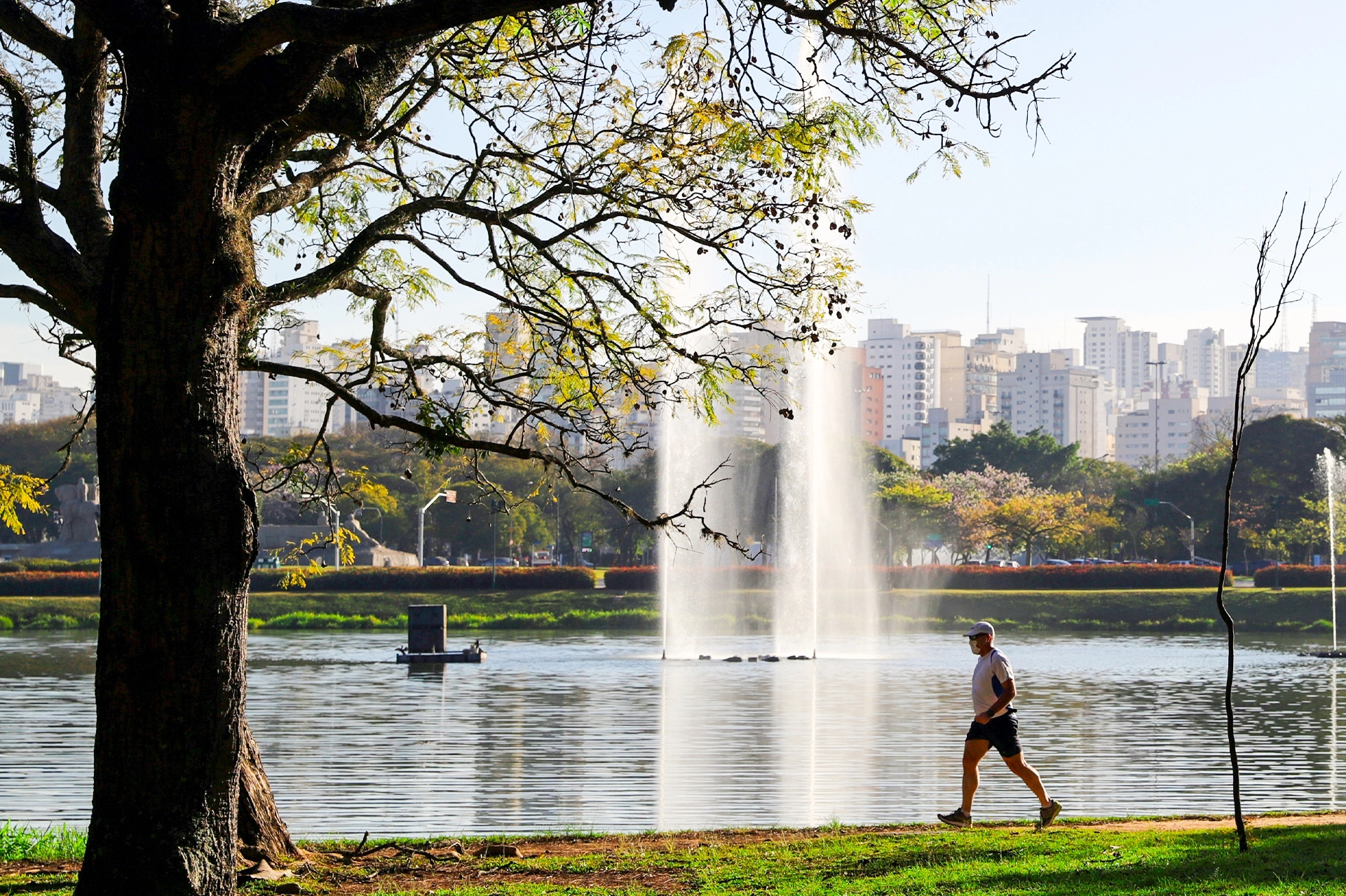 O que fazer no Ibirapuera: guia completo das melhores atrações