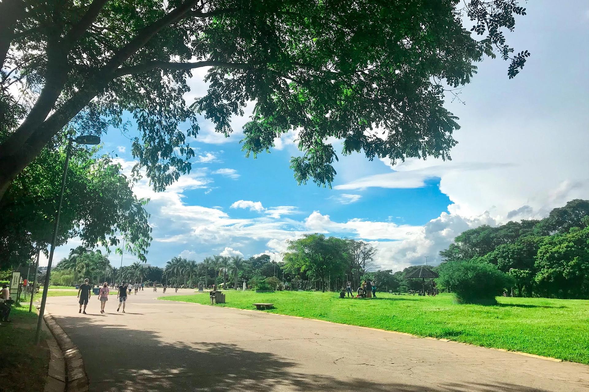 Quais são os principais parques em Pinheiros?