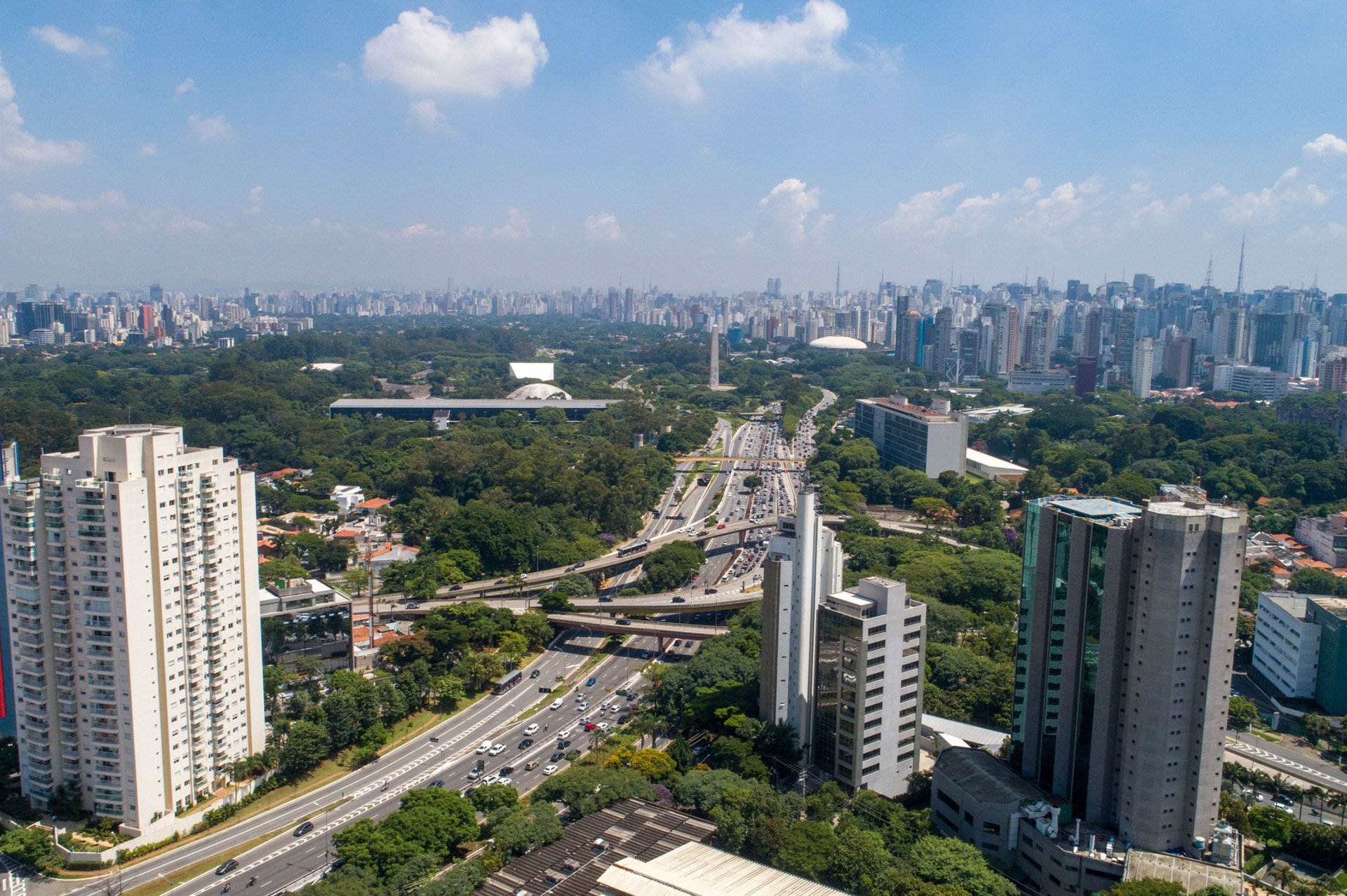 Área verde na Vila Clementino: descubra o bairro mais arborizado de São Paulo